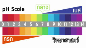 Read more about the article เรียนให้ชัวร์ รู้ให้ชัด เรื่องกรด เบส