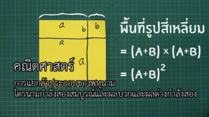 Read more about the article การแยกตัวประกอบของพหุนาม