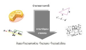Read more about the article ประวัติศาสตร์ของจำนวน